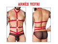 ARNES BRIEF YEFRY